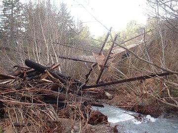 "Bridge to Winter"